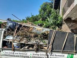 Professional Junk Removal Services in Hot Springs Village, AR